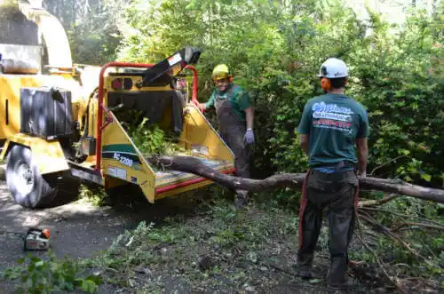 tree services West Puente Valley